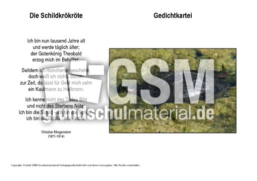Die-Schildkrökröte-Morgenstern.pdf